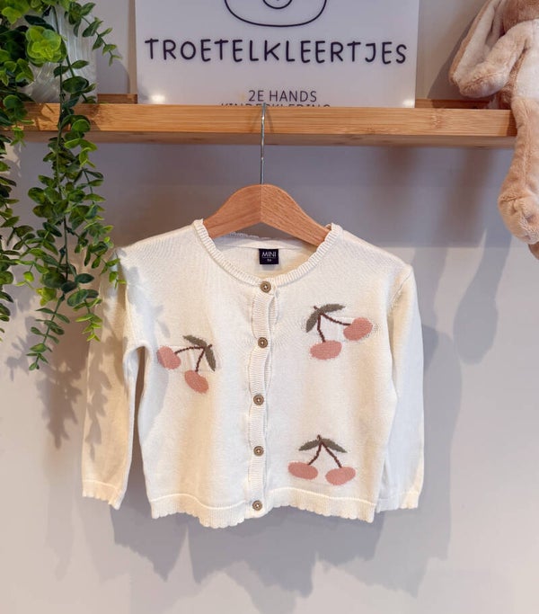 Mini Vest Maat 86