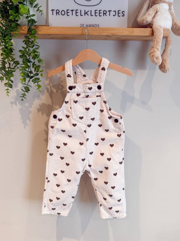 Hema Tuinpak Maat 80