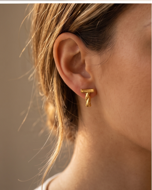 Earrings 04