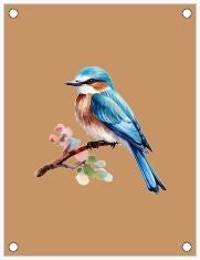 Tuinposter Vogel (2)