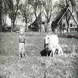 41. Matty voor het huis van pake en beppe met schapen.