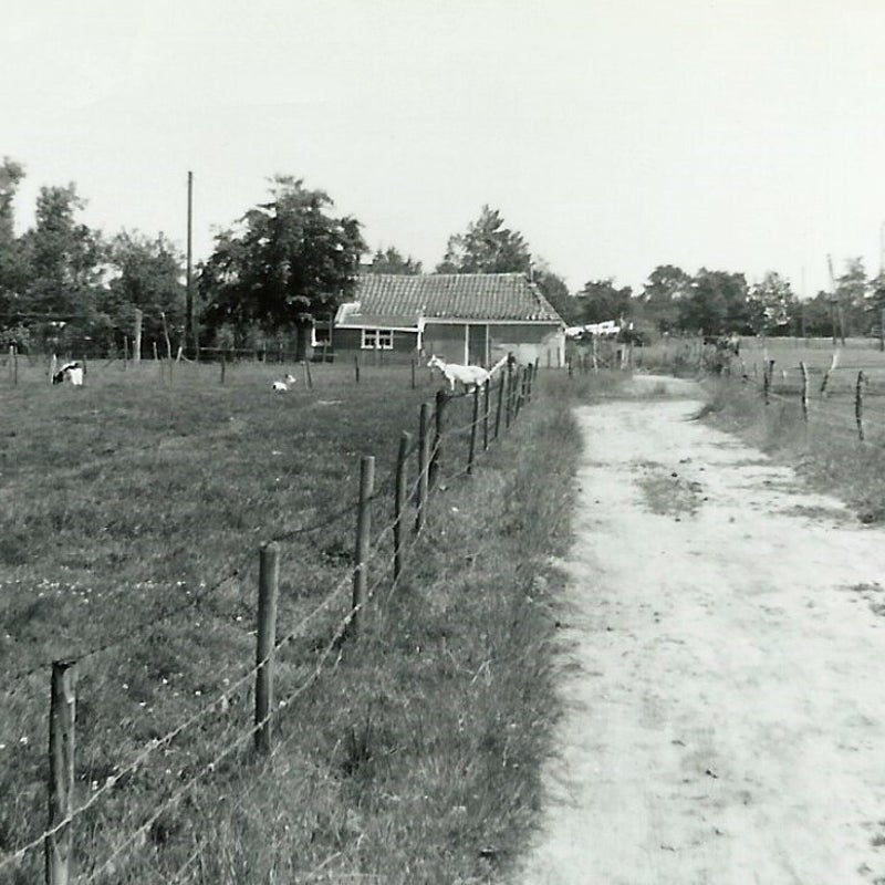 Willemstad1965.jpg