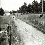 51. Willemstadpad.