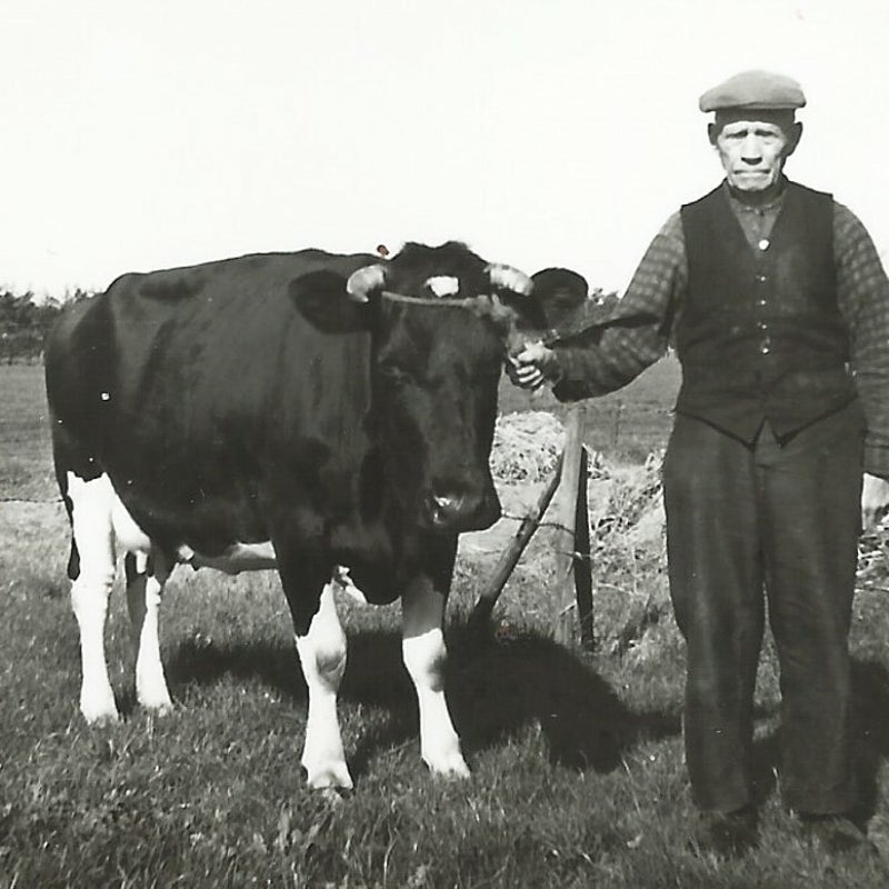 Pakemetweereenkoe1965.jpg