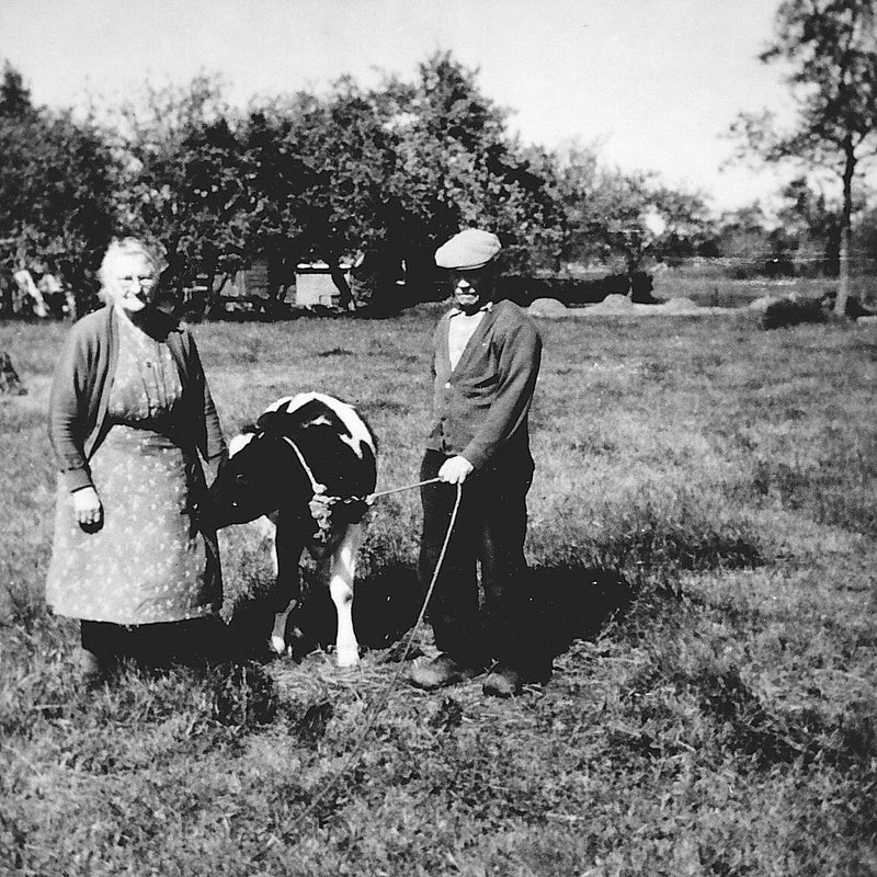PakeenBeppemetkoe.jpg