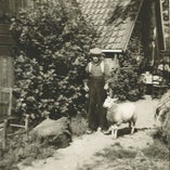 Pakemetschaap2.jpg