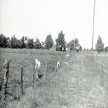Willemstadpadnaarpakeenbeppe1965.jpg
