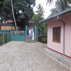 dsci0444-standard.jpg