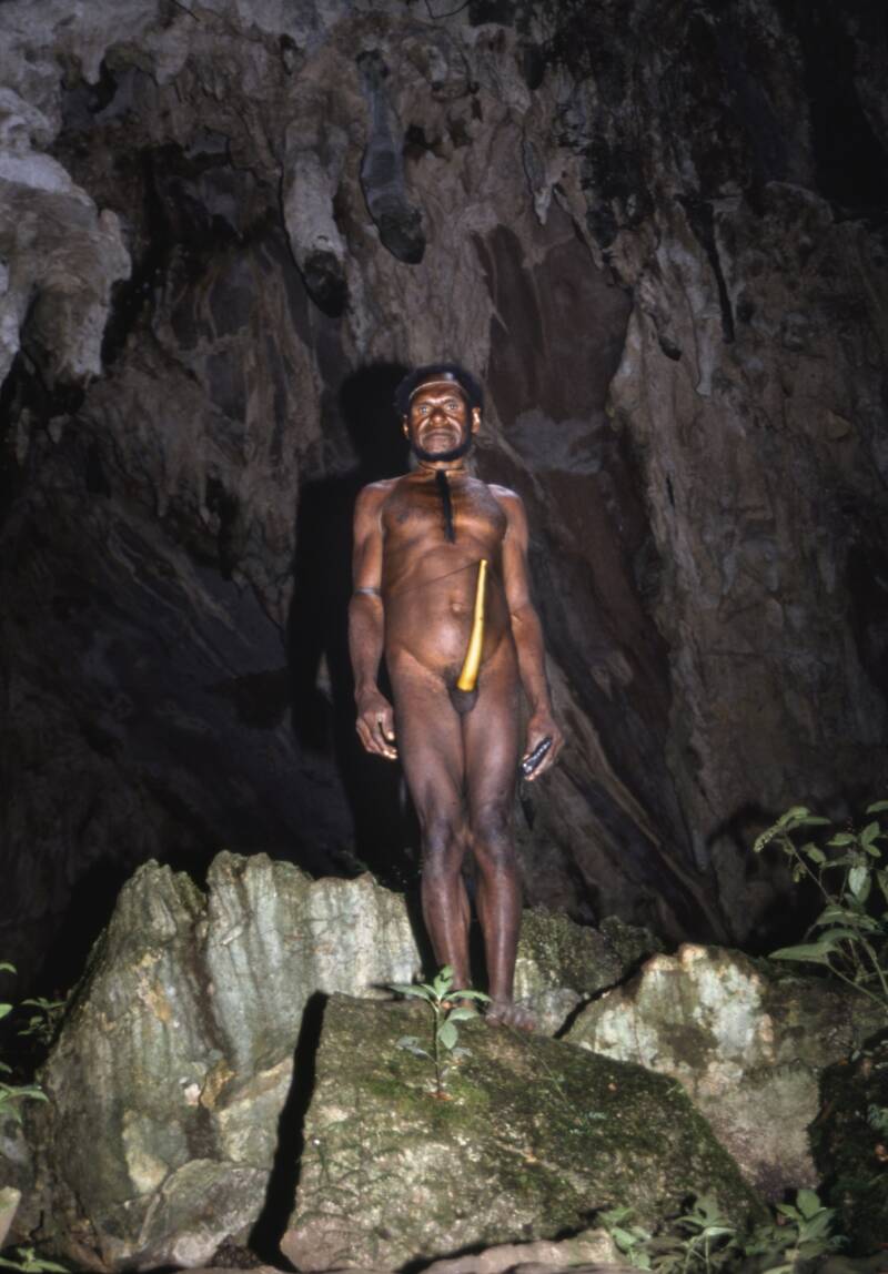 dani-cave-kopie-standard.jpg