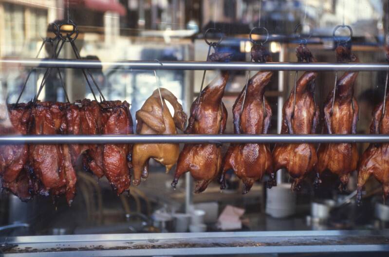 ducks-in-cninatown-kopie-standard.jpg