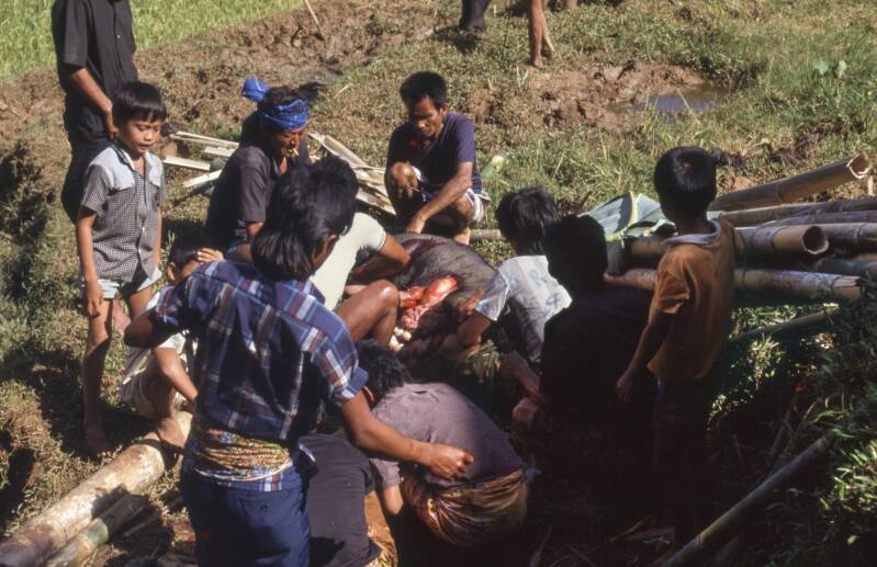 food-marked-sulawesi-kopie-standard.jpg