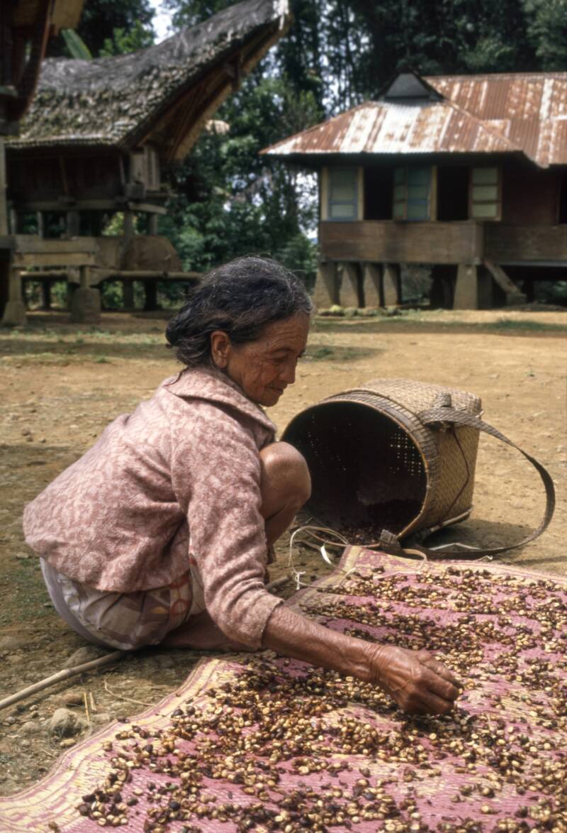 koffeebeans-sulawesi-kopie-standard.jpg