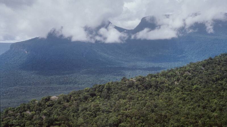 landschap4-standard.jpg