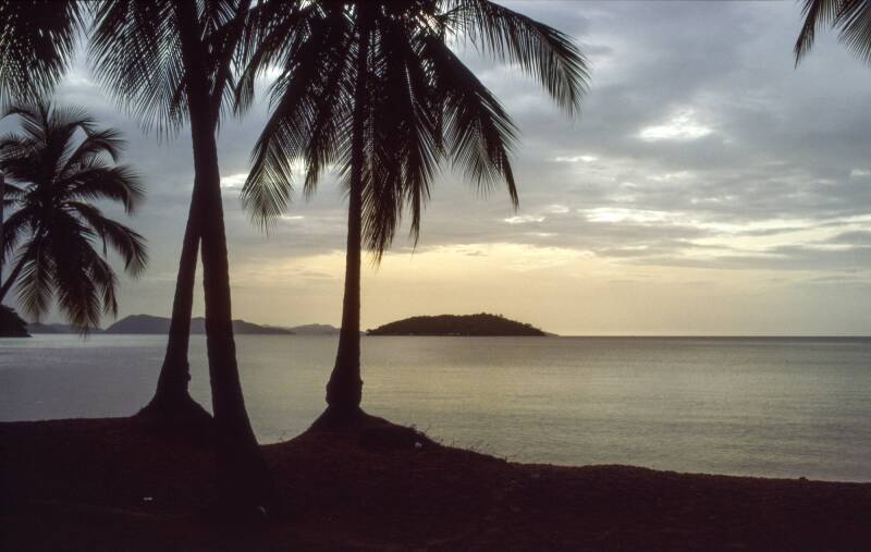 maracaibo-kopie-standard.jpg