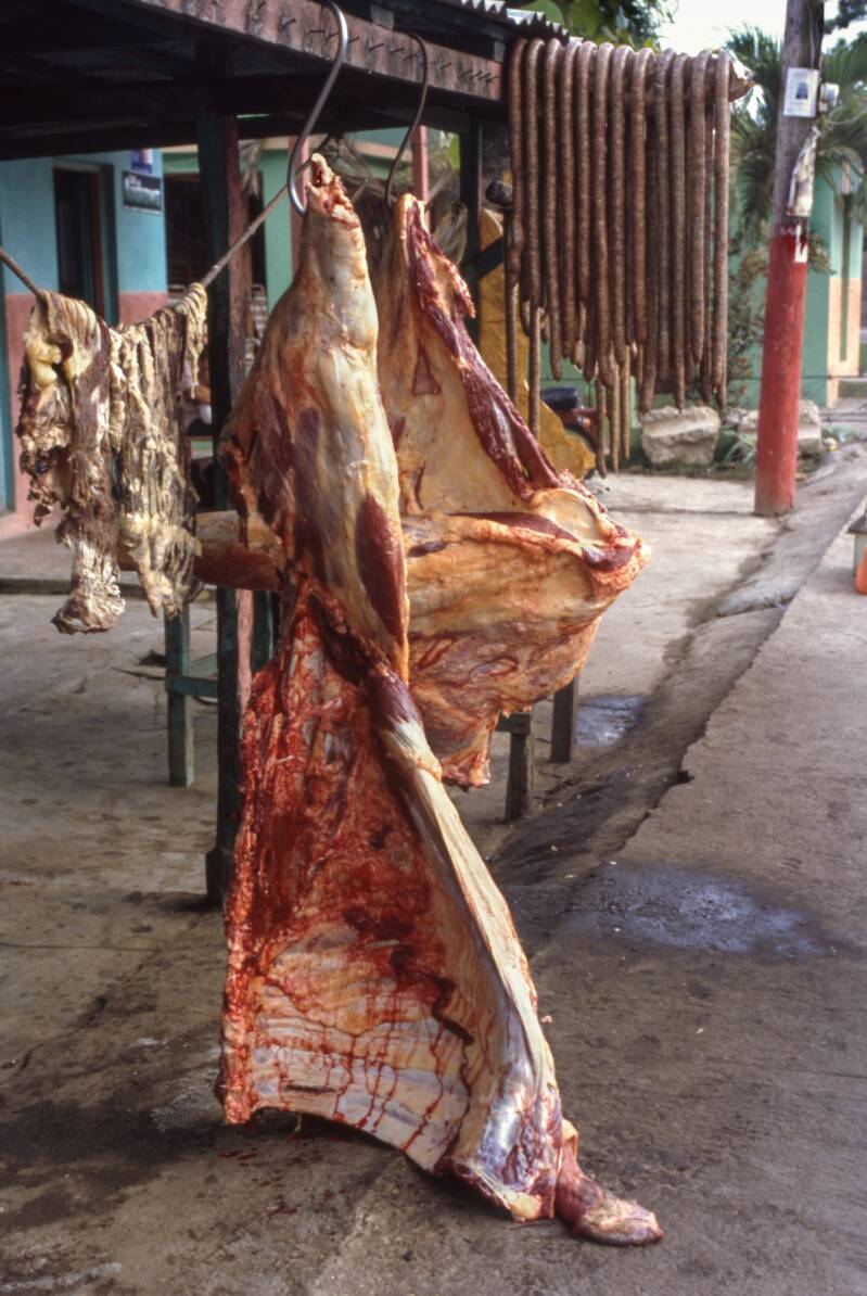 meat-dom-kopie-standard.jpg