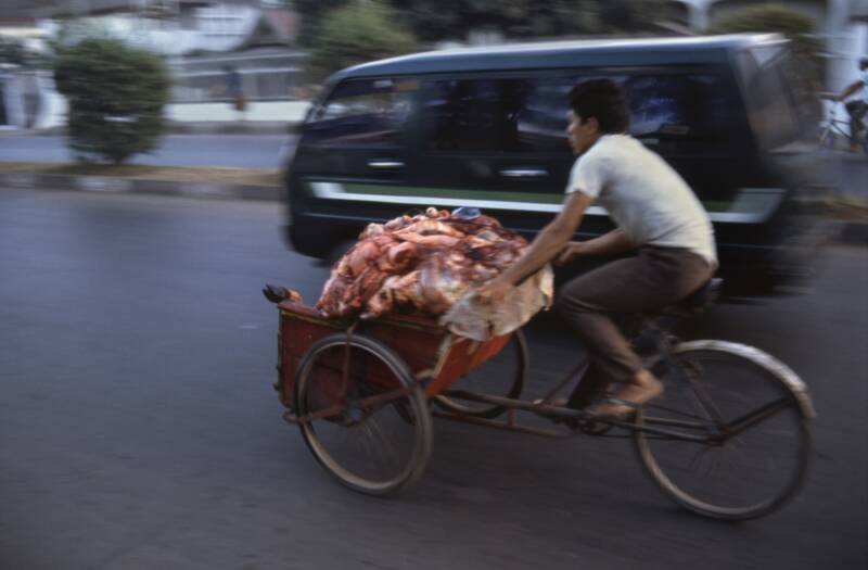 meattraffic-standard.jpg