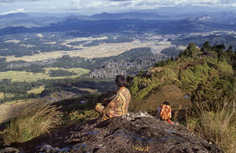 pano-sulawesi-kopie-standard.jpg