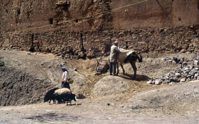 villagewall-morocco-kopie-standard.jpg
