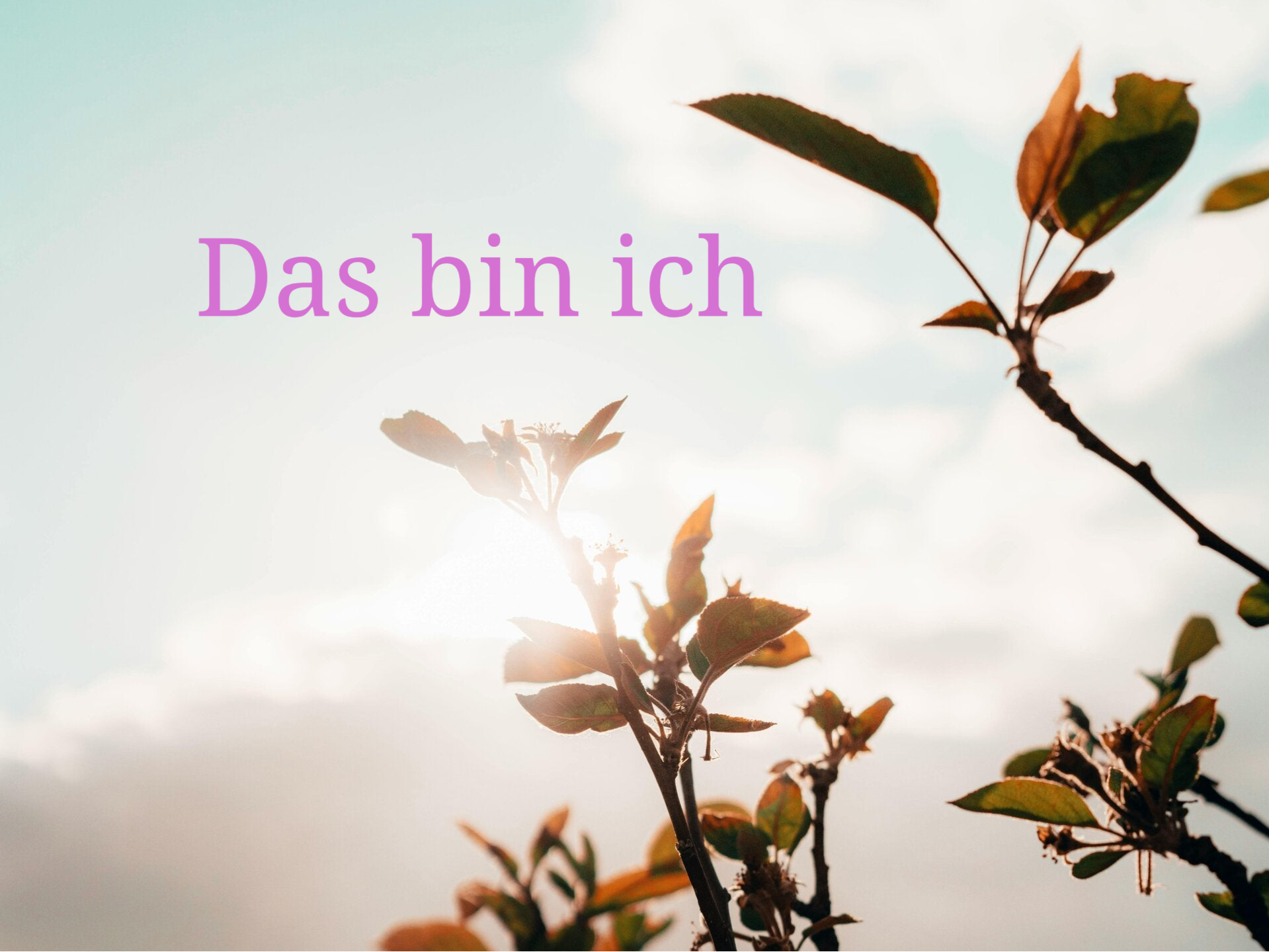 Psychotherapie Antje Müller