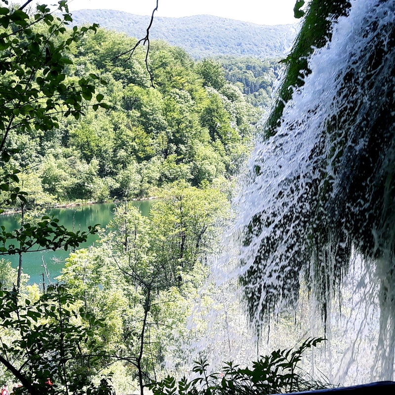 20190607_115647.jpg