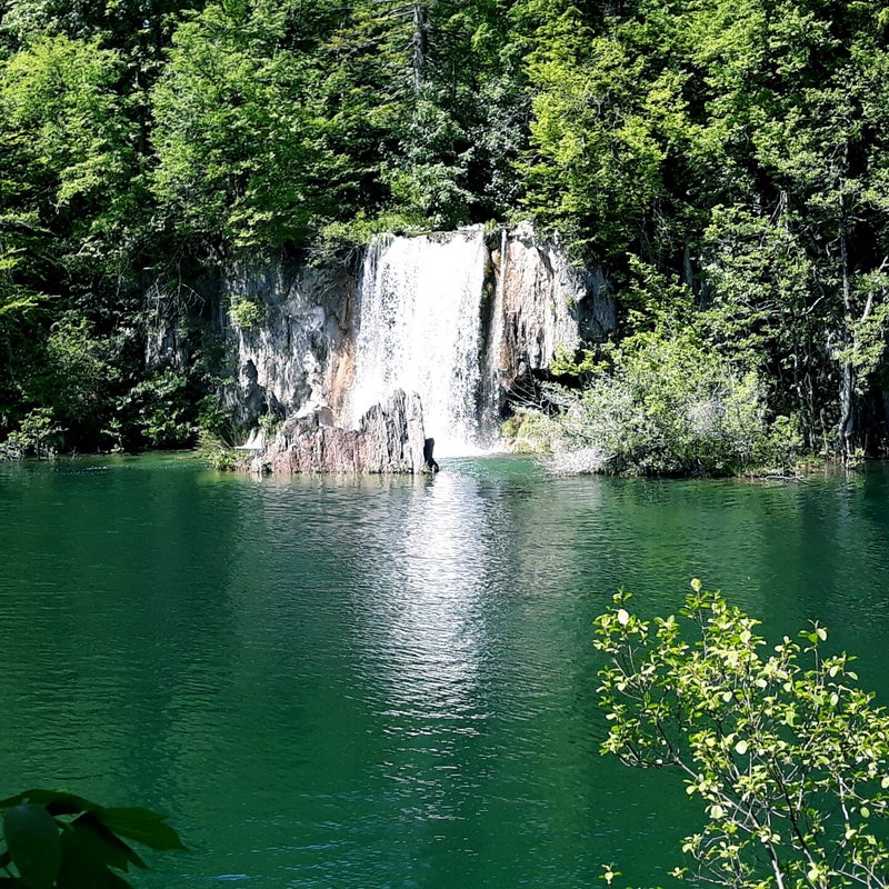 20190607_110323.jpg
