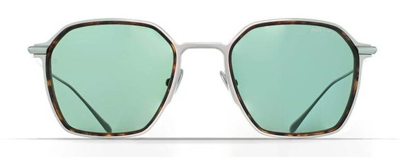 BRETT SUN FRANCOIS MATT TITANIUM TORTOISE C31