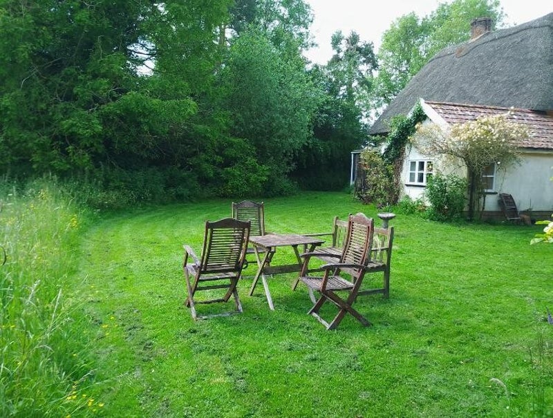 Gardening/ Allotment help