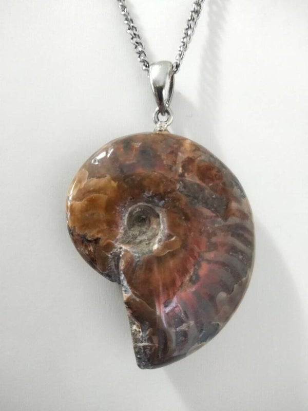 Ciondolo Ammonite