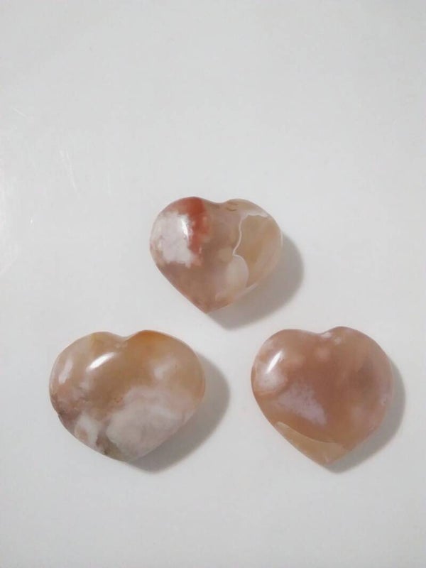 Agata Sakura Cuore