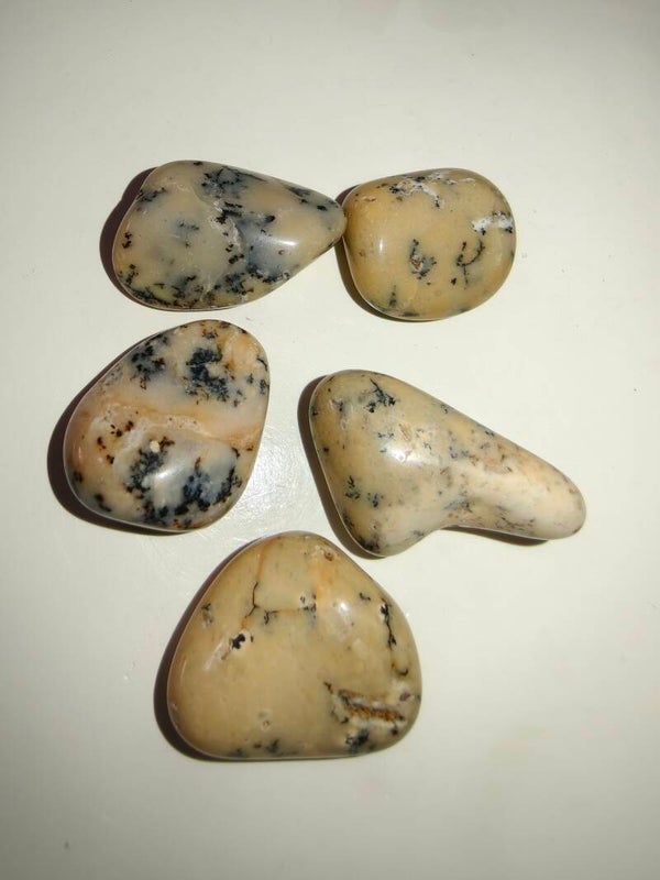 Opale Dendritico burattato