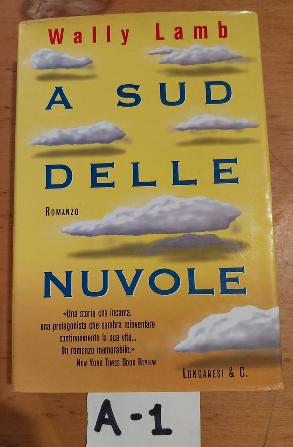 a sud delle nuvole - wally lamb
