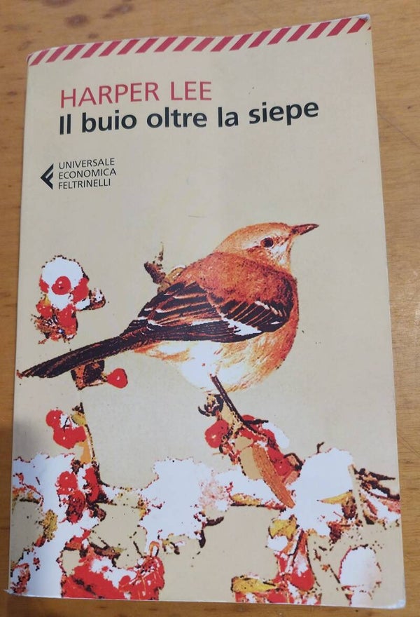 il buio oltre la siepe - harper lee
