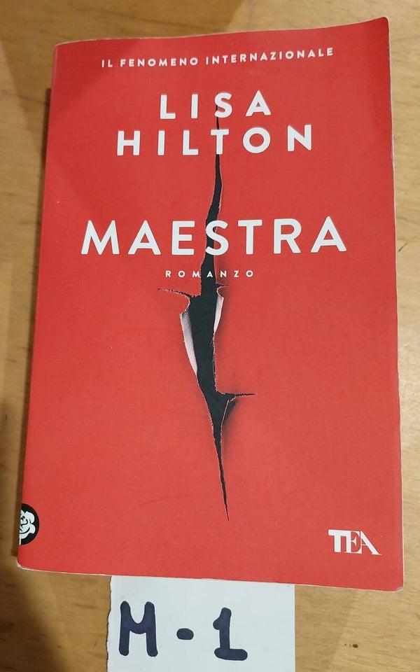 maestra - lisa hilton