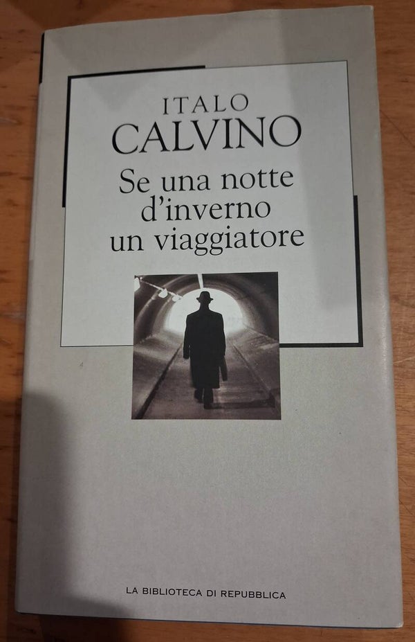 se una notte d'inverno un viaggiatore - italo calvino