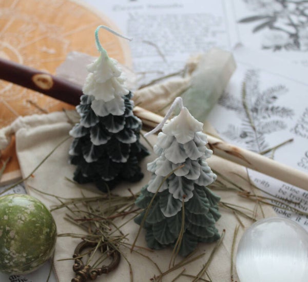 (Spar) Dennenboom Kaars