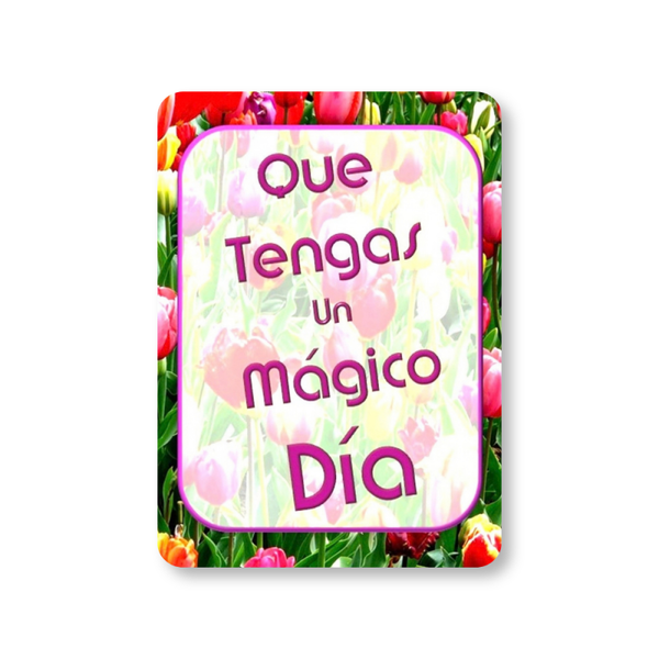 Mi 22 - Que tengas un mágico día