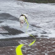 20181216_105912.jpg