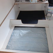 20221008_174811.jpg