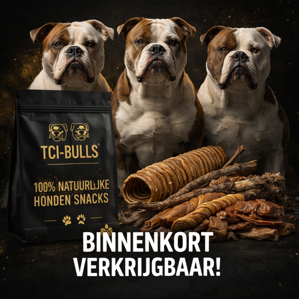 TCI-Bulls training box