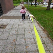 20190503_135743.jpg