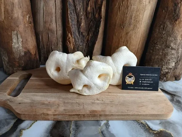 Honingneuzen 3 stuks - 100% Natuurlijke Hondensnack