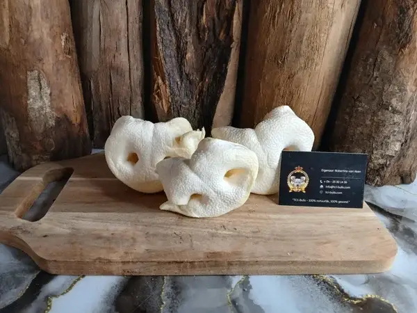 Honingneuzen 3 stuks - 100% Natuurlijke Hondensnack