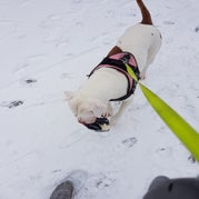 20190122_143739.jpg