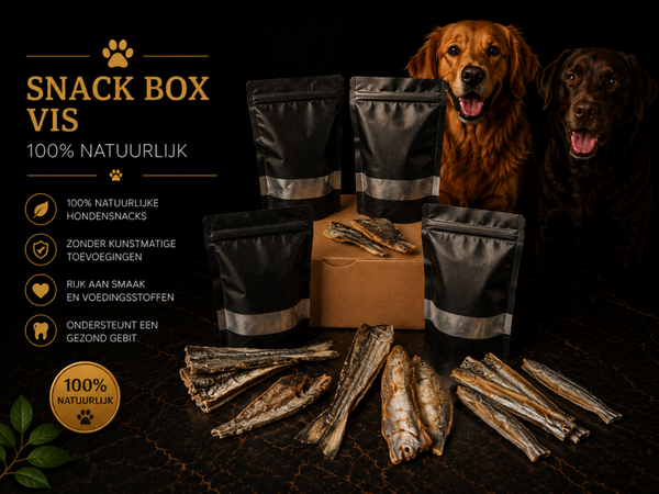 Snack Box - Vis Box - 100% Natuurlijk
