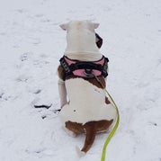 20190122_143911.jpg