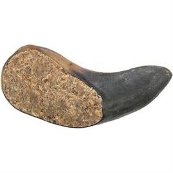 TRIXIE BUFFELHOORN GEVULD MET BUFFELPEES 10-14 CM
