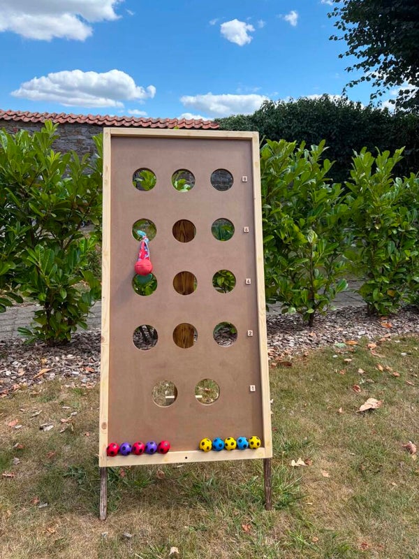 Défi des Balles Ciblées  🎯