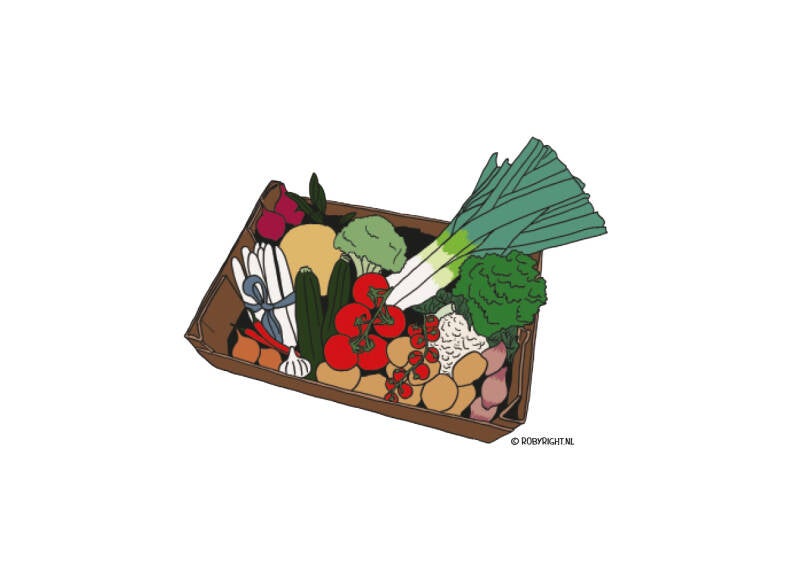 robyright-illustraties2-standard-3hldv6.jpg