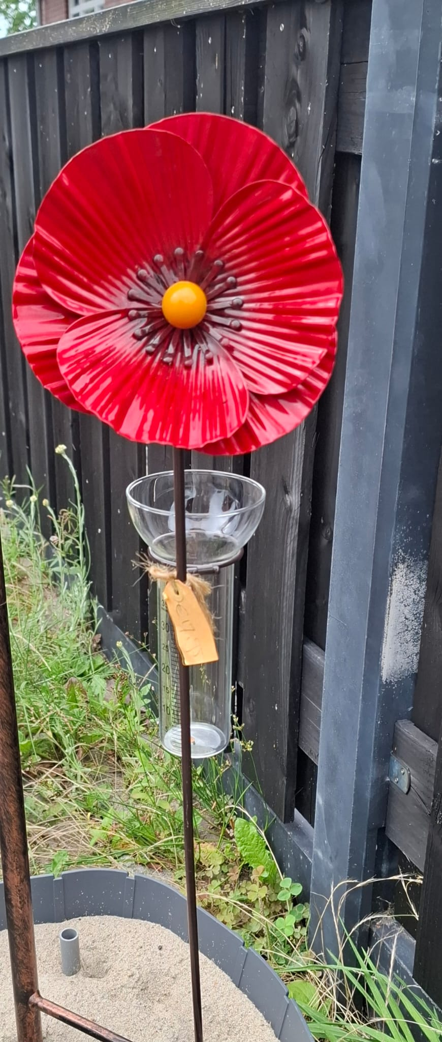 Klaproos met regenmeter (80310)