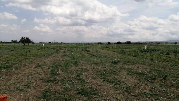 Terrenos de 1000 m2